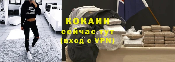 мет Няндома
