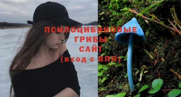 экстази Новозыбков