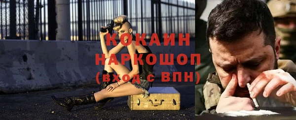 мет Няндома