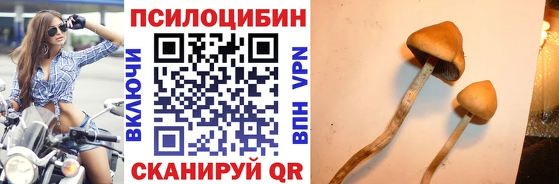 Галлюциногенные грибы Magic Shrooms  ОМГ ОМГ маркетплейс  Спасск-Рязанский  хочу наркоту 